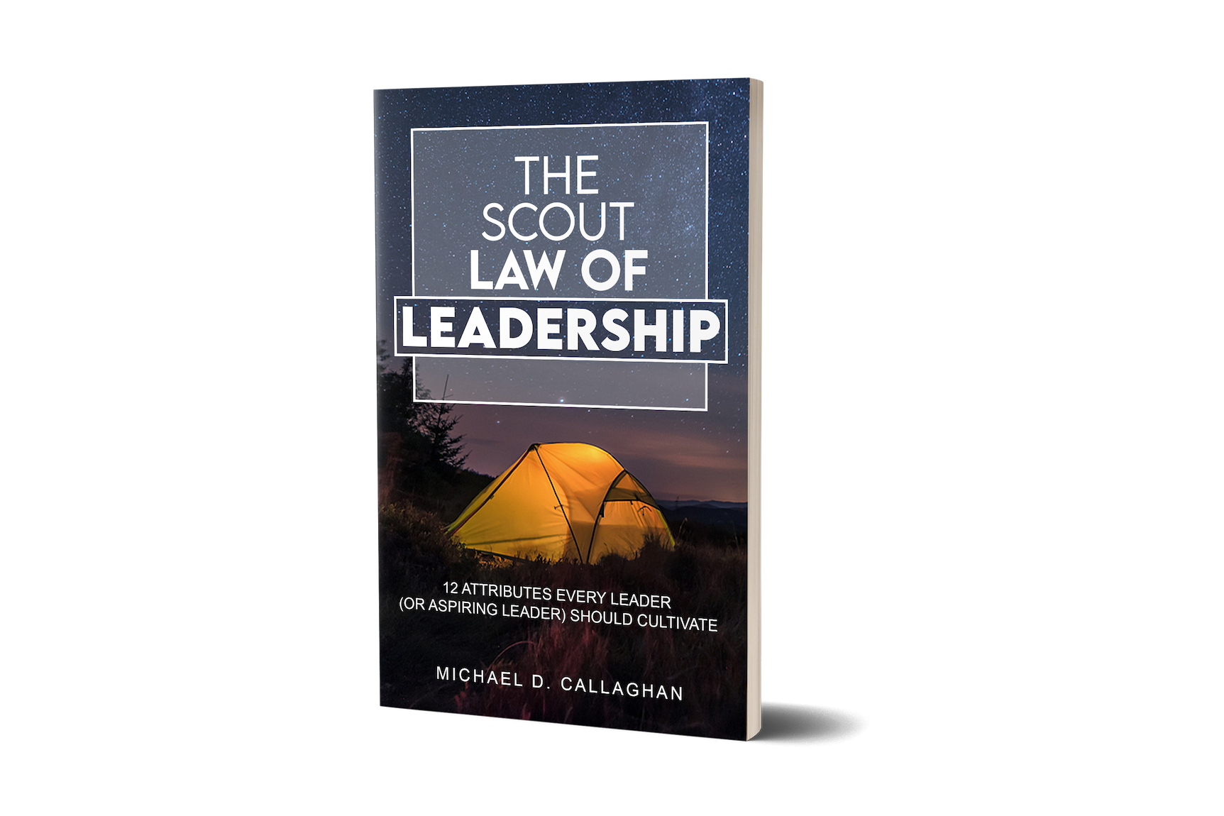 Scout Law of Leadership